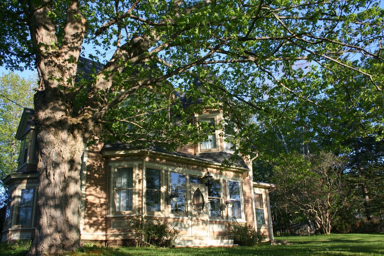 Sackville Bed And Breakfast Екстер'єр фото